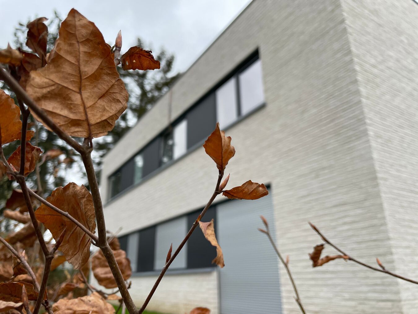 CONSTRUCTION de 8 APPARTEMENTS PRIVES avec ABORDS